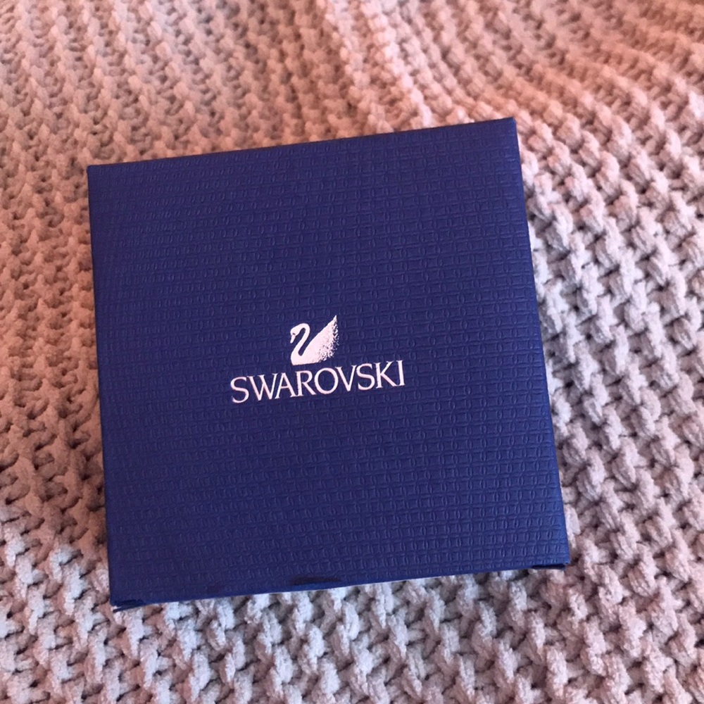 Silver Hoop Earrings from Swarovski